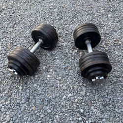 Ajustable Dumbbells 
