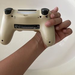 PlayStation 4 Controllers