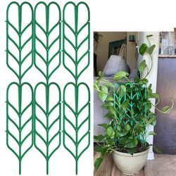 Garden Trellis for Indoor Plants