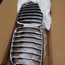 BMW Grill 