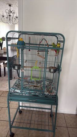 Bird cage with parakeets for sale.