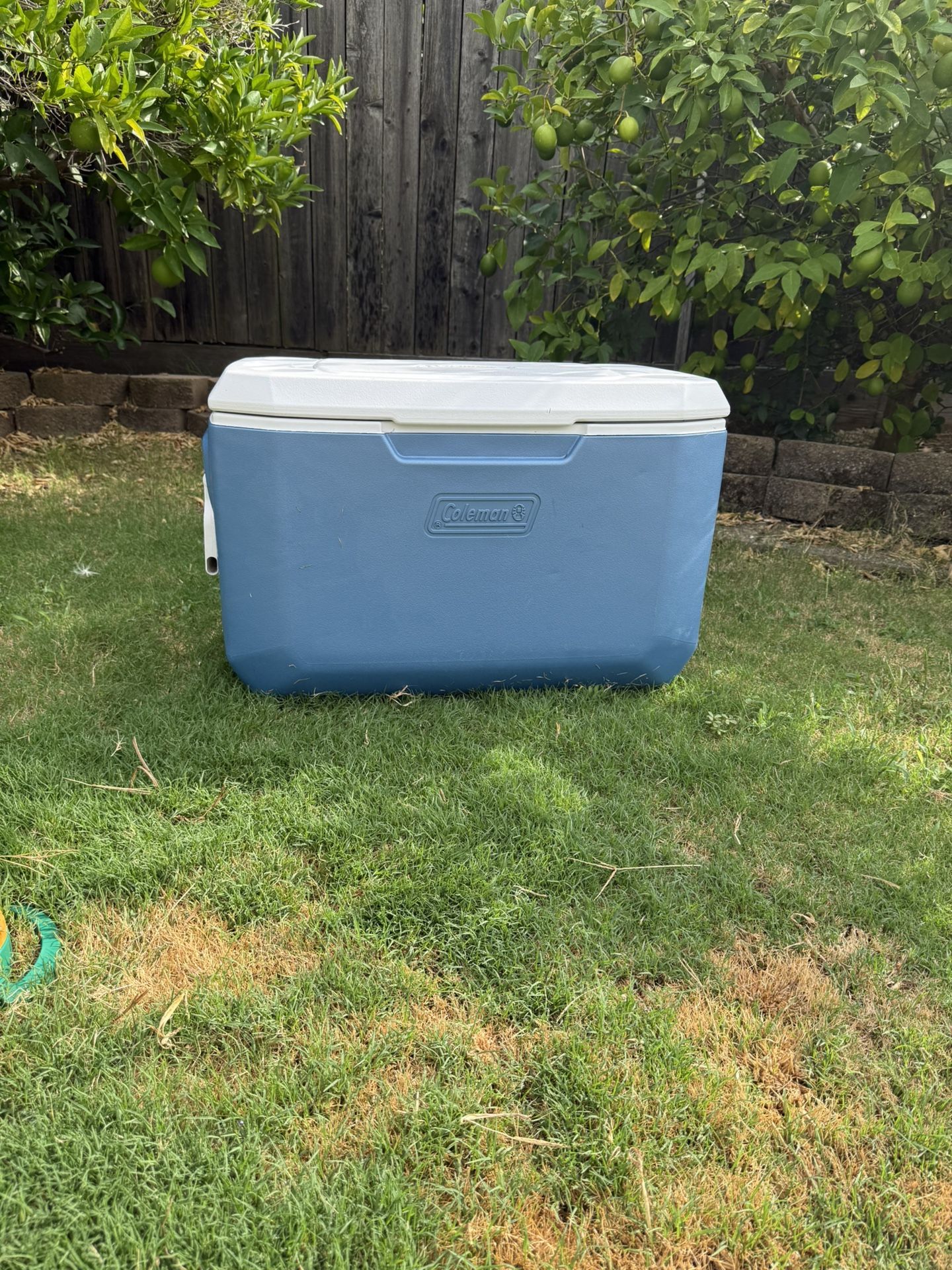 Coleman Cooler 