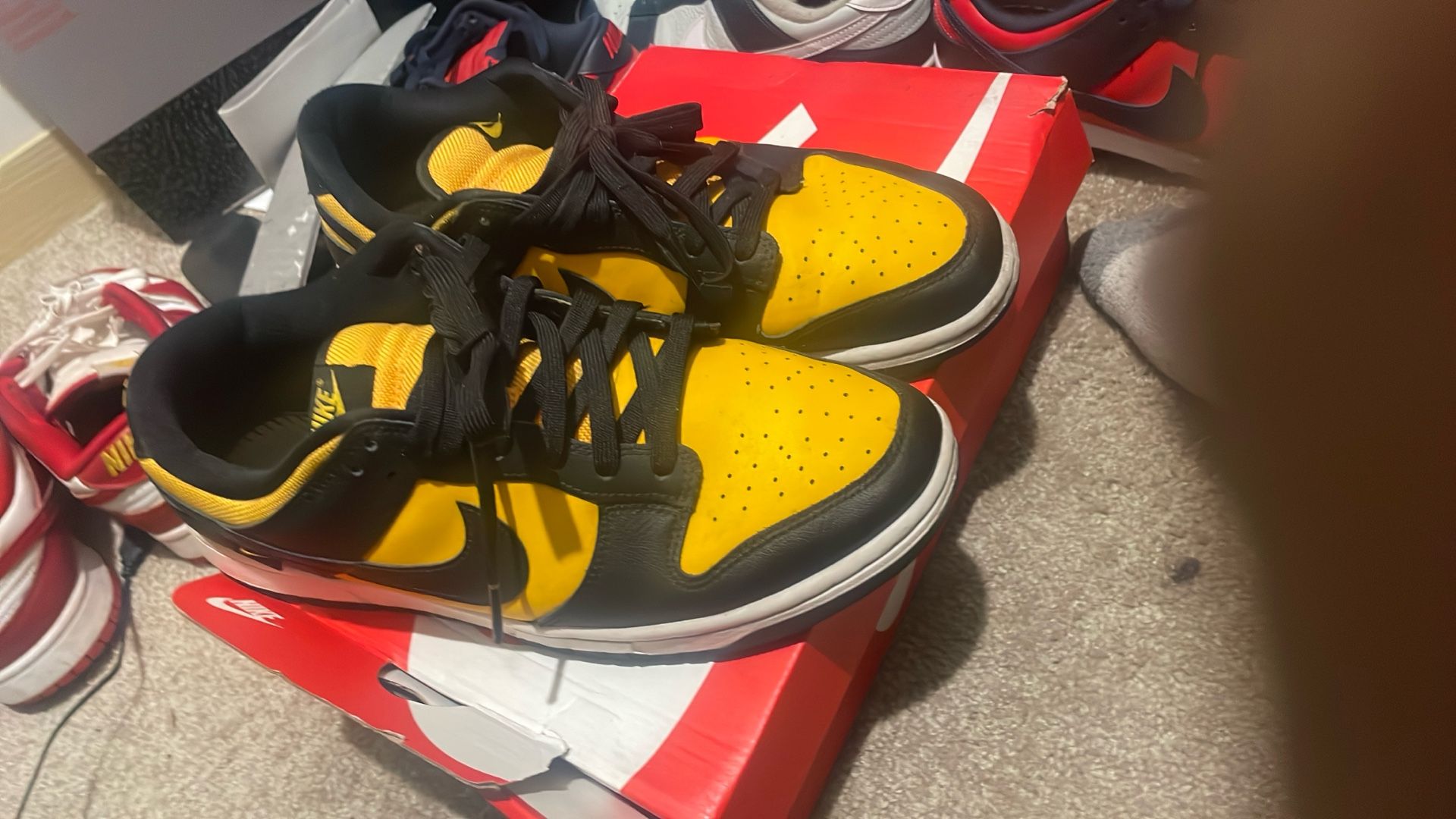 Nike Dunks Sized 11