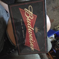 Budweiser Domino's In Case