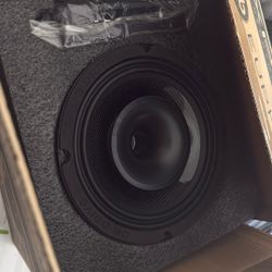 Carbon Fiber, 8 Inch Euphoria