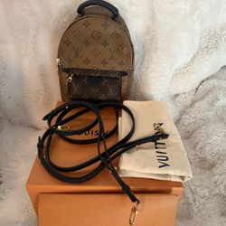 Louis Vuitton Palm Springs Mini Backpack