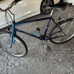 Trek 21speed 21” in Great Condition. Everything pick Up Midway Airport Area Works As It Should.
