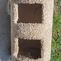 Cat Scratcher And Toy