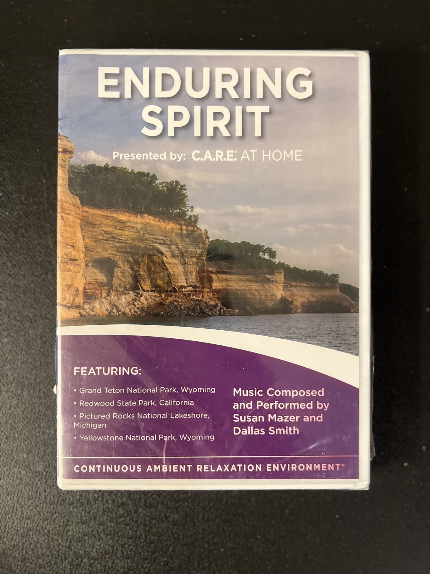 C.A.R.E. at Home - Enduring Spirit (DVD, 2015) By Susan Mazer - New Sealed