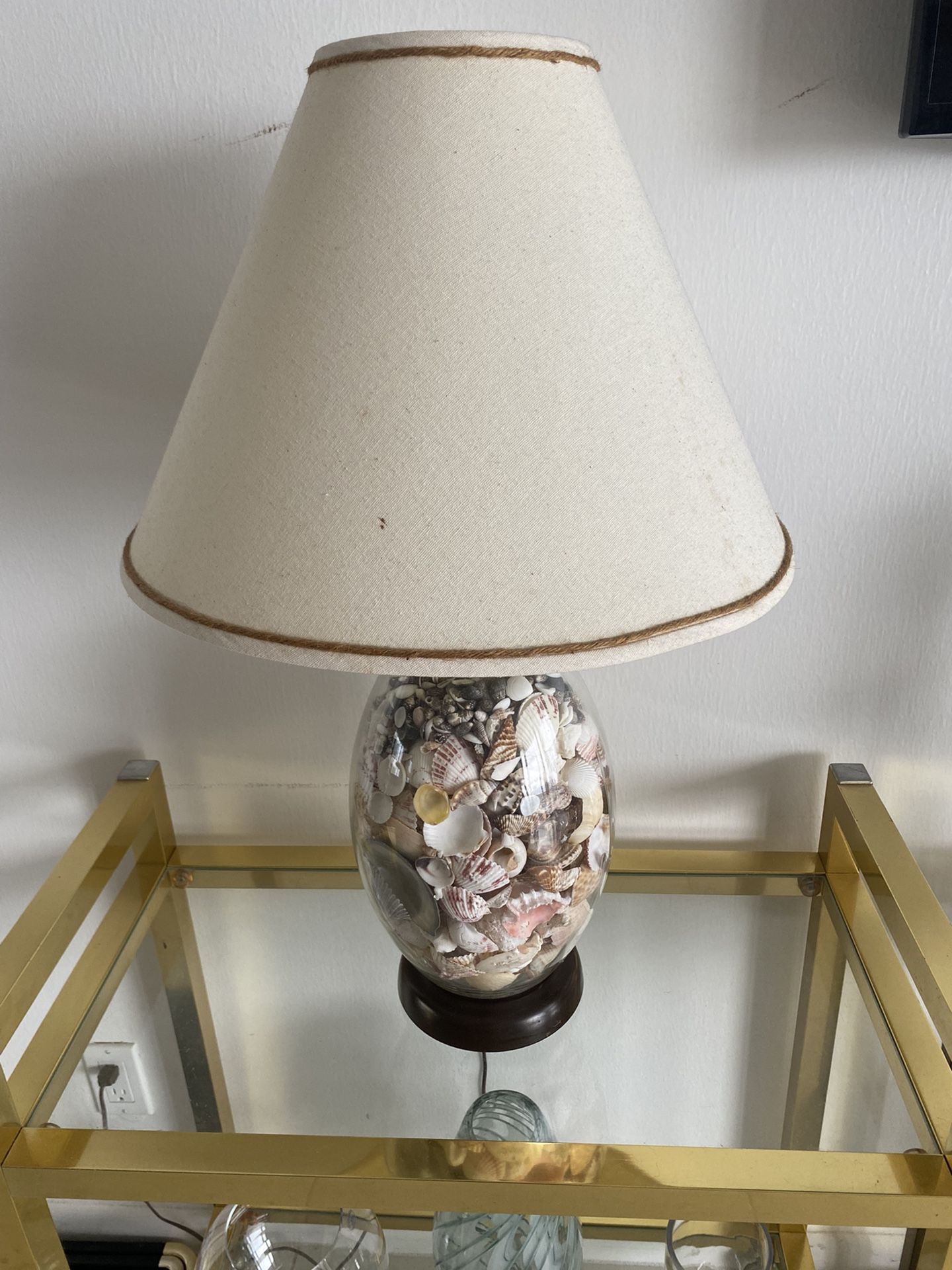Lts Of Shells - Lamp