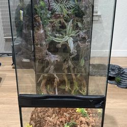 Reptile Enclosure 