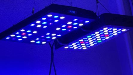PREMIUM AQUARIUM LIGHT SALE