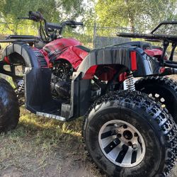 2021 Bull 200 Bull 200