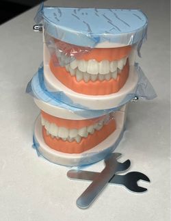 Teeth models