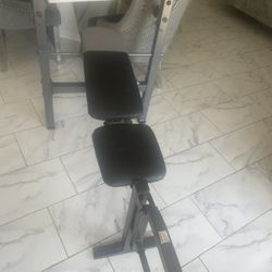 Exercise Bench 