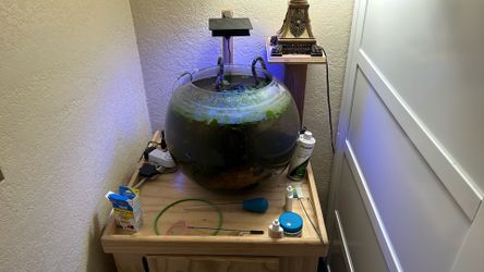 Fish Bowl For Sale