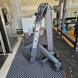 Rogue-Echo-Rower
