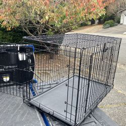 Large Medium Dog Kennel Crate Collapsible in Good Condition 36” L by W 22” H “24