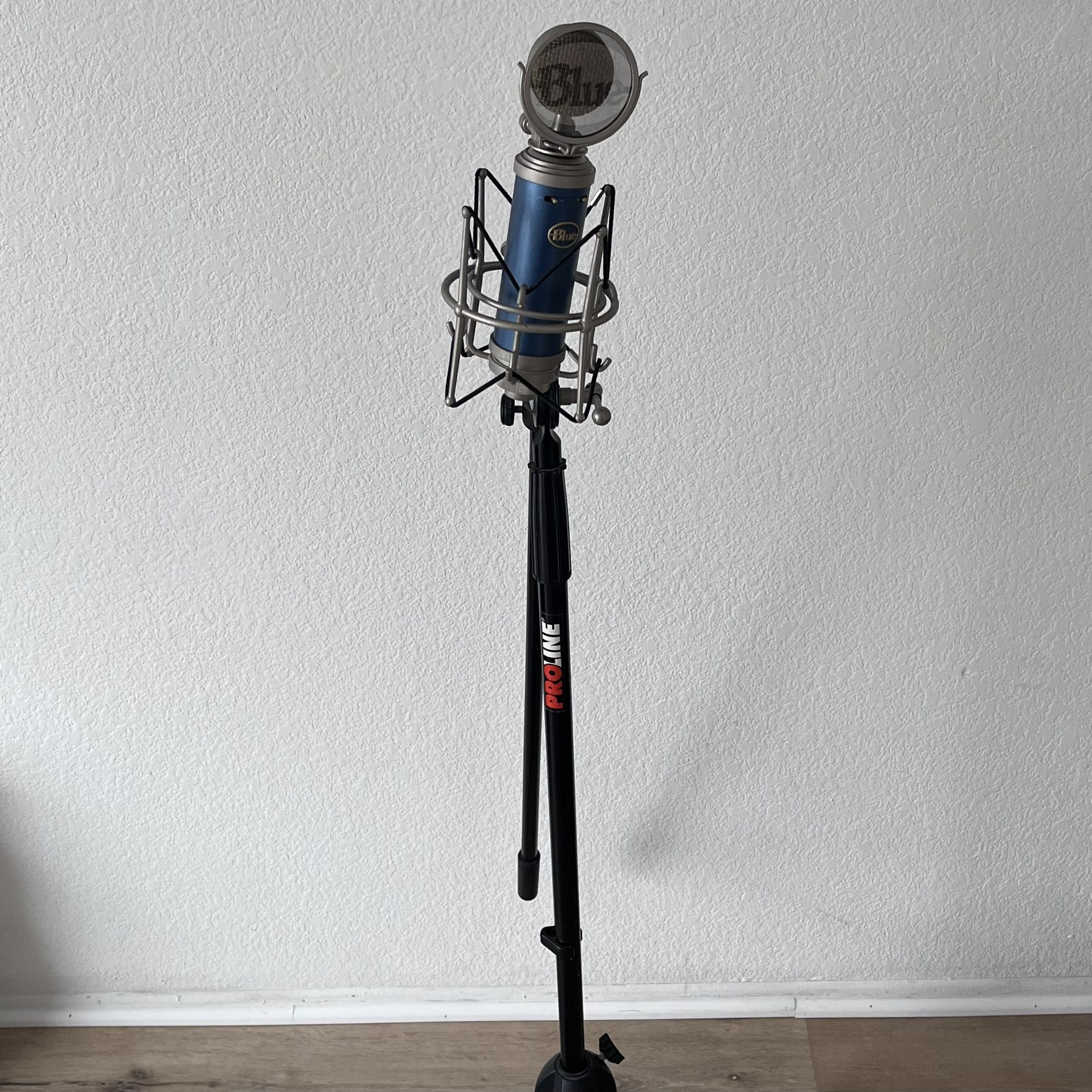 Microphone