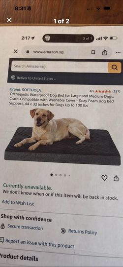 Extra large orthopedic dog bed