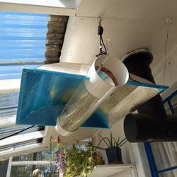 Grow Light For Growing Canvas Asking $125obo