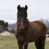 Efrain