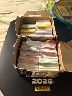Panini stickers