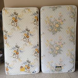 2 twin mattresses