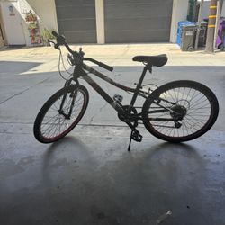 24” Guardian Bike