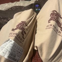 Burberry With Pouches Size 12