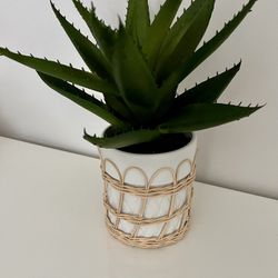Artificial plant 