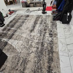 Area Rug 8x10