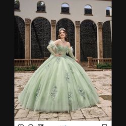 Rachel Allan Quinceanera Or Sweet 16 Dress 