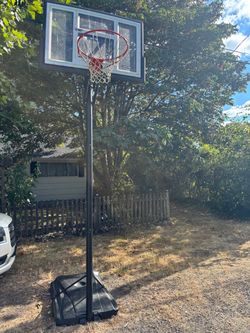 Lifetime Portable Basketball Hoop
