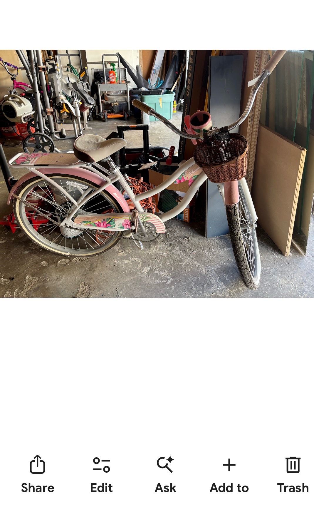 Beach cruiser
