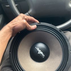 4 10 Inch Skar Speaker