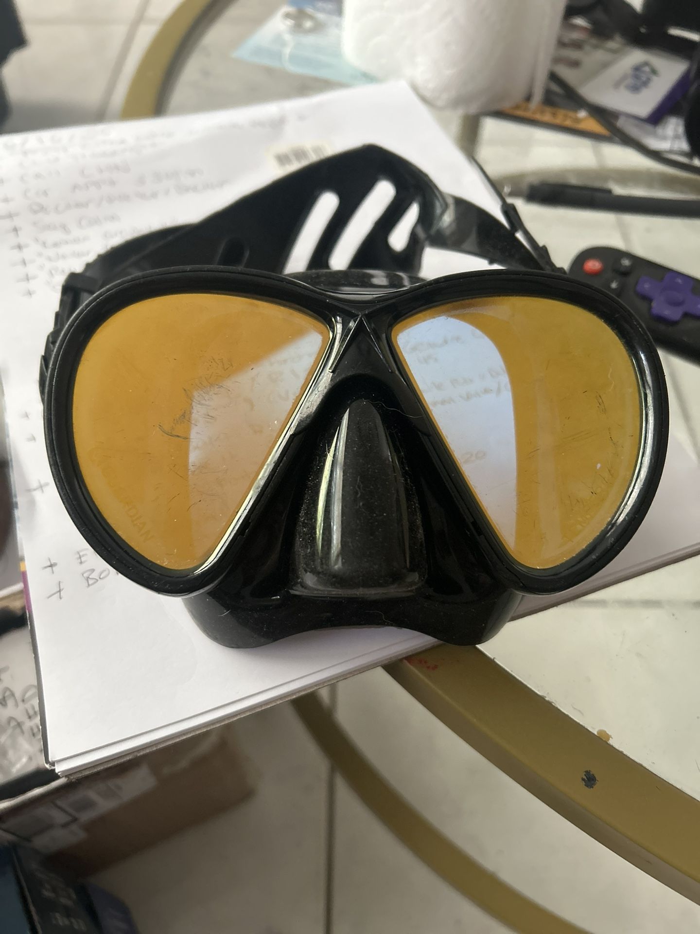 Guardian Goggles / Guardian Chrome