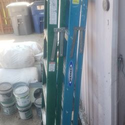 Franklin And Werner 6ft Ladders 