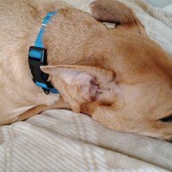 In Need Of Household Items 