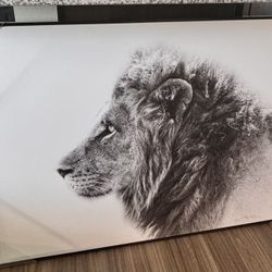 Tiger Canvas Picture 