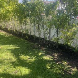 Ruta De Jardín 27 Propiedades 3500 Al Triple