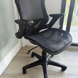 Ergonomic Office Chair