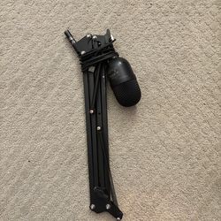 Mic and arm (comes with cord)