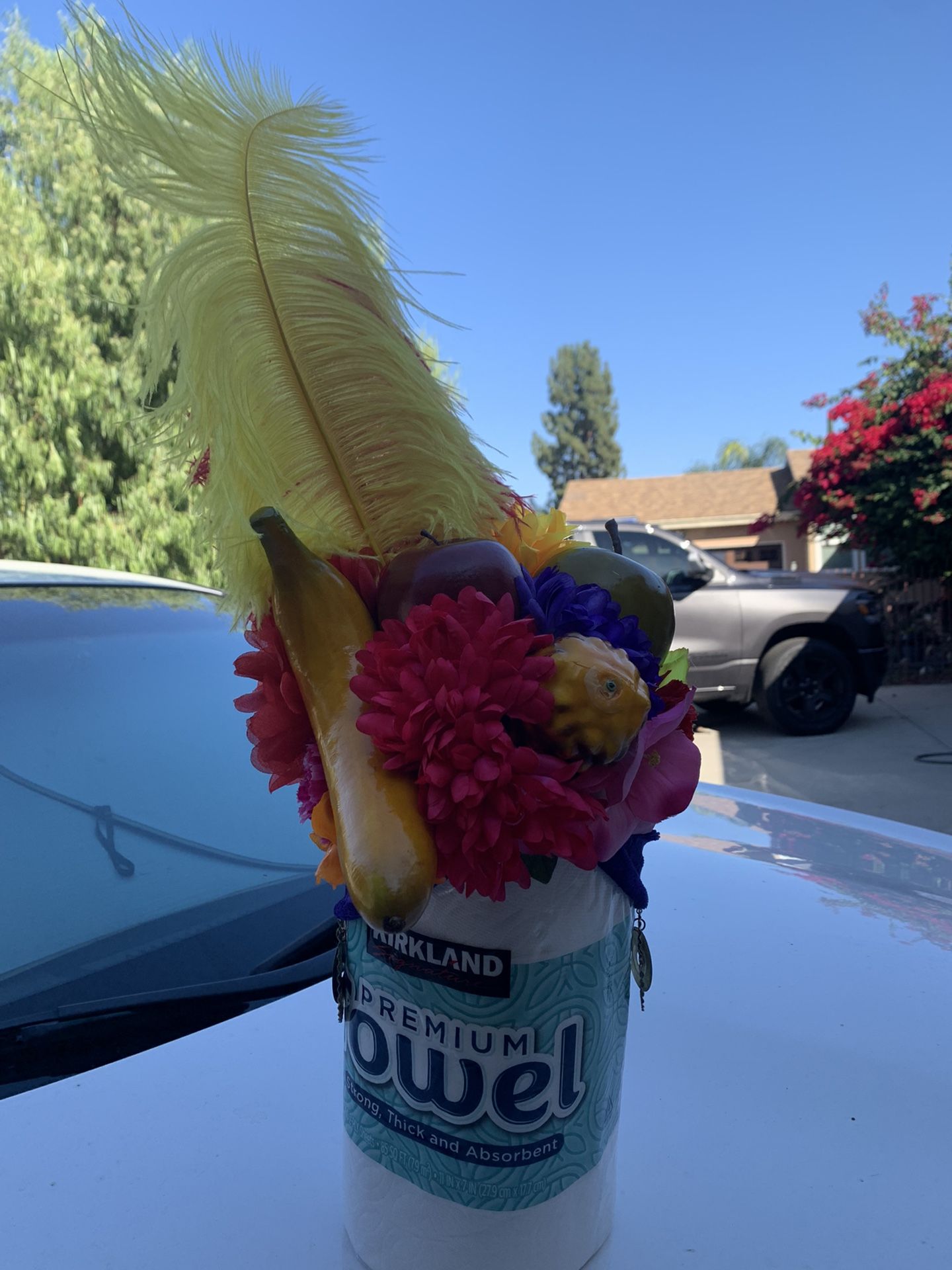 Tropical Fruit Hat / Chiquita Banana Hat