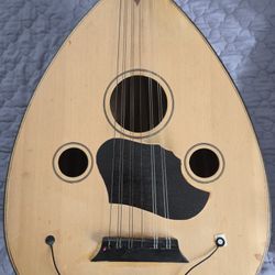 Professional Oud with Custom Electric Pickup – Hard Case Included