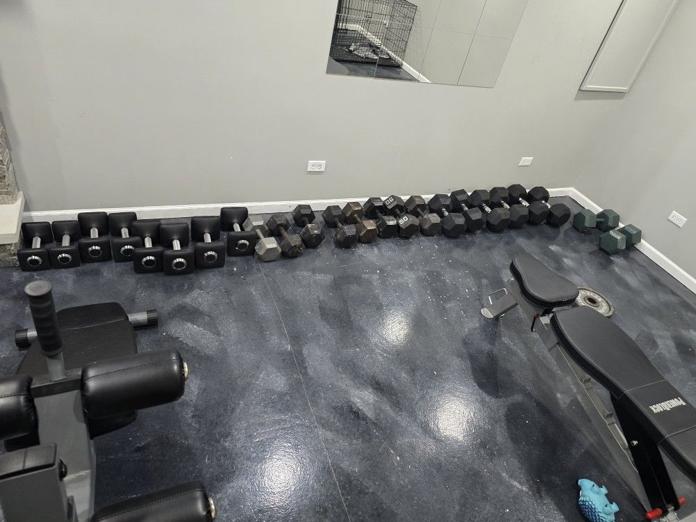 Gym Dumbells/benches/jump Box