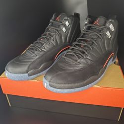 Jordan 12 Size 10, Size 10.5