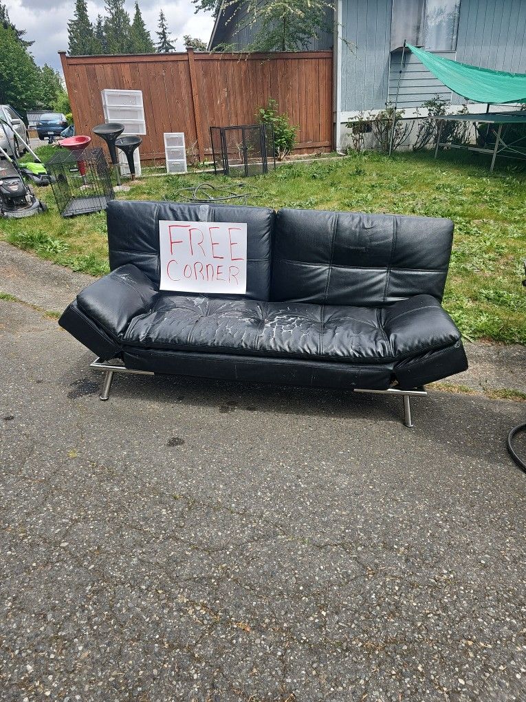 Free Costco Futon