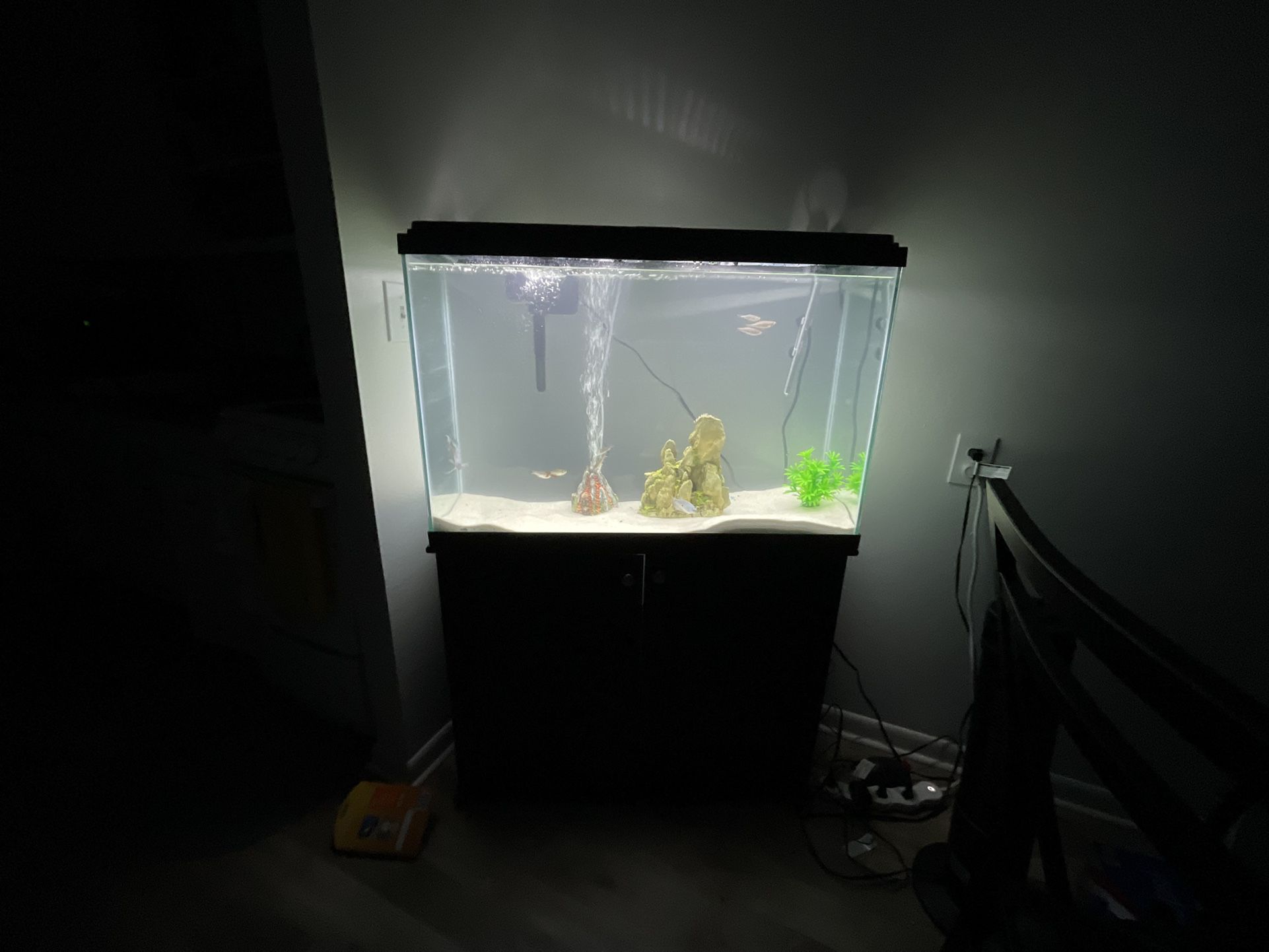 45 Gallon Fish Aquarium 
