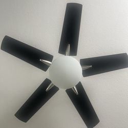 Ceiling fan